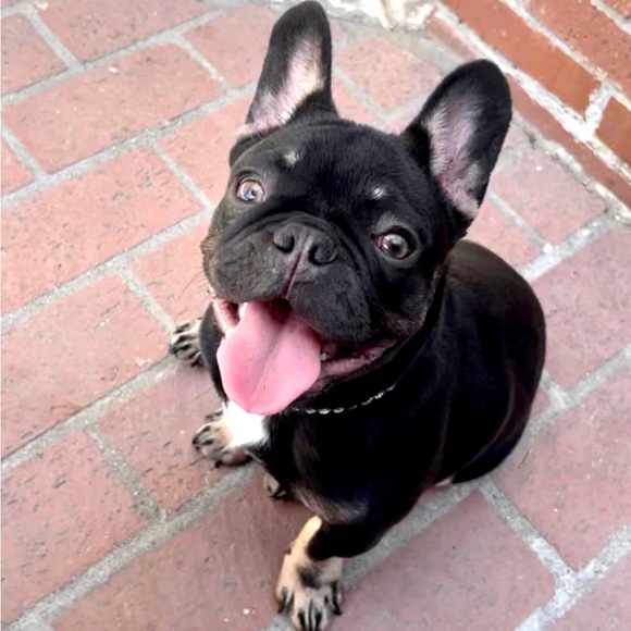 👑Meet Your #FellowPosher Lady K👑 - Picture 17 of 17